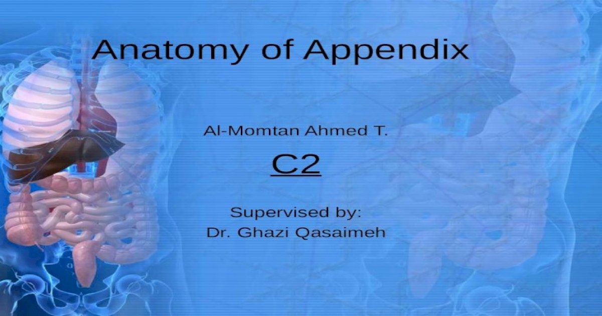 Anatomy Of Appendix Ppt Powerpoint