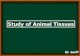 Study of animal tissue