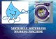 Virtually Waterless Washing Machine