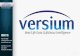 Versium Real-Life Data Intelligence Platform