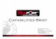 Redport Capabilities Brief 04182013