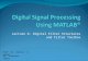 Dsp Using Matlab® - 8