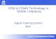 GSM & CDMA Technology in Mobile Telephony