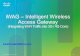 iWAG – Intelligent Wireless Access Gateway