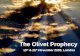 The Olivet Prophecy Revised