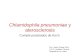 Chlamydophila pneumoniae y_aterosclerosis