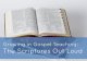 The Scriptures Out Loud: Optimizing Oral Reading of the Scriptures