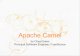 Apache Camel Devoxx 2010