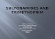 Sulfonamides and trimethoprim
