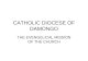 Catholic diocese of damongo