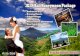 3D2N Bali Honeymoon Packages