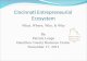 Patrick Longo - Cincy Entrepreneurial Ecosystem