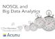 NoSQL and Big Data Analytics at NOSQL NOW! 2013