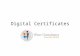 Digital certificates and information security