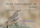 Bird Sanctuaries in India
