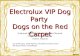 Baltic PR Awards 2011: Electrolux VIP Dog Party – Dogs on the Red Carpet