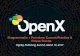 OpenX Survey: Programmatic + Premium: Current Practice & Future Trends