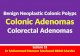 Neoplastic Colonic polyps- Colonic Adenoma; Familial Syndromes