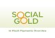Social Gold In-Flash Payments Webinar