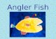 Angler Fish. The Angler fish lives deep down at the bottom of the ocean.