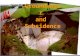 Groundwater and Subsidence Groundwater and Subsidence.