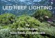 LED REEF LIGHTING. Advantages/Disadvantages Cost Analysis Lighting Facts Spectrum / Intensity Pigments / Colour Apples & Oranges Types of LEDs / Drivers.
