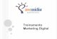 Marketing Digital: Treinamento Prático Marketing Digital