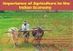 Indian agriculture sector