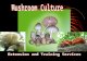 Mushroom culture