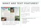 Information text features ppt