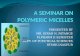 Polymeric micelles