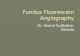 Fundus fluorescein angiography