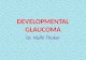 Congenital glaucoma part2; developmental glaucoma