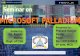Microsoft Palladium