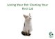 Loving your pet, owning your first cat