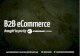 B2B eCommerce for 2013