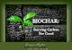 Biochar: Burying carbon for good