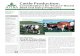 Cattle Production: Considerations for Pasture-Based Beef and Dairy Producers