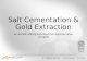 Salt Cementation & Gold Extraction