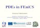 PDEs in fenics