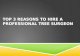 Top 3 Reasons to Hire a Professional Tree Surgeon