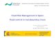 Workshop on Flood management in a transboundary context, 13-14.12.2011, Justo Mora