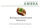 Ambra Solutions Petrochemical Industry