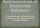 Reminiscences of downtown salisbury