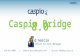 Caspio 8 0 overview - database news reporting and presentation of data on your newspaper’s website
