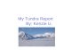 My Tundra Report Ulmer