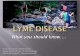 Holly Ahern - Lyme Disease: What You Should Know...