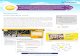 Case Study: Scoot Airlines