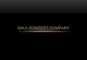 Sala Company Profile