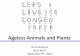Ageless Animals and Plants